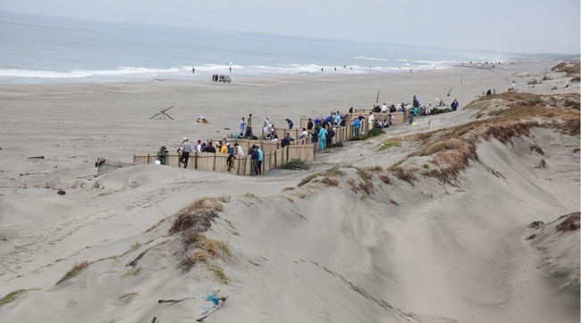 写真中央に人が集まり作業をしている様子が写った海岸の写真。手前に砂山、後方に海が見える。