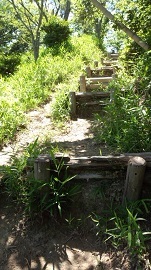 陣場峠にある木の階段の画像