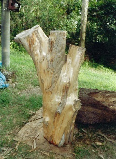 丸太を立てている地面についている木の面は1つ。上の部分は3つの枝分かれをしている