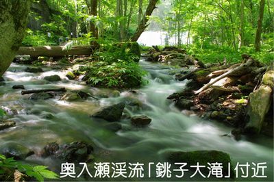 奥入瀬渓流「銚子大滝」付近の写真。木々の間の渓谷を流れる川がしっとりと美しい。