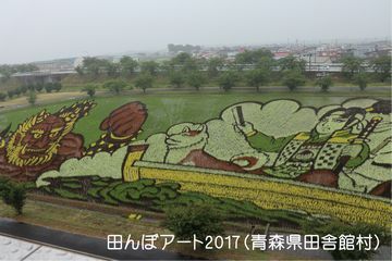 2017年に行われた青森県田舎館村の田んぼアートの写真。桃太郎と犬が鬼に立ち向かう様子が創られている
