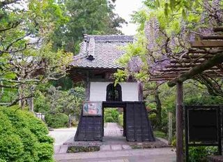 藤の咲く庭にある龍潭寺東門