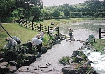 居沼池に流れ込む用水を清掃する市民の写真