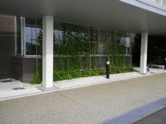 建物と植物