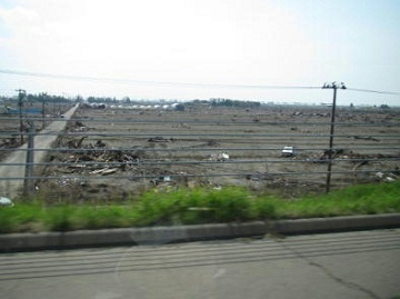 津波に流され、更地になった街の様子。所々に家の基礎や雑草が見える。