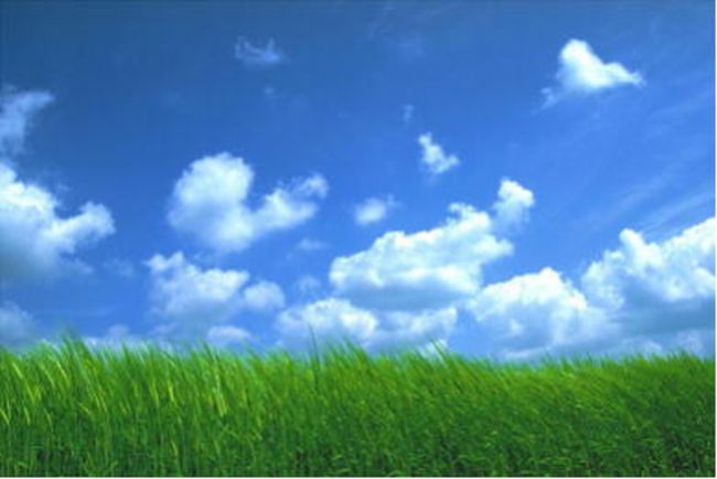 澄み渡る青空と白い雲、緑生い茂る草が風で揺らいでいる様子