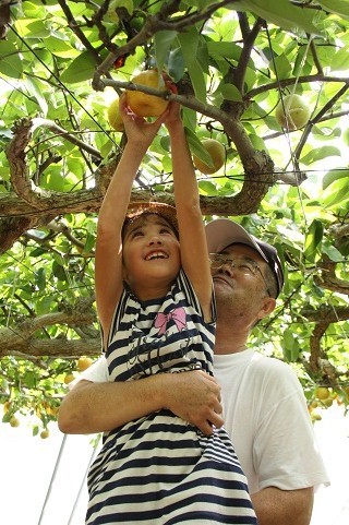 大きな梨を見つけて手を伸ばす父親と抱っこされて嬉しそうな娘