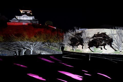 映像を投影し影絵風に掛川の歴史を紹介した写真