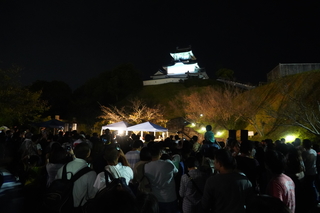 夜の掛川城に映し出されるプロジェクションマッピング