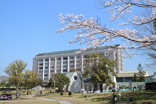 桜が綺麗なつま恋リゾート彩の郷の写真