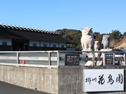 石作りのフクロウが立っている掛川花鳥園の看板と外観の写真