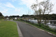 遊歩道と遊歩道の右側に池が写っている