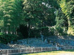 林に囲まれ、太田家家臣の墓がたくさん祀られている様子をとった写真