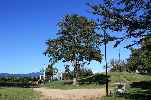 小さな丘があり、奥にすべり台などの遊具がある広い公園