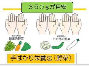 手ばかり栄養法（野菜）の図、野菜は350ぐらむが目安。緑黄色野菜は両手一杯、その他の野菜は両手2杯。