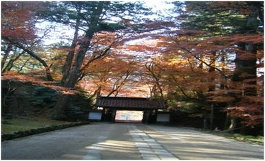 まわりの木々が紅葉している香積寺山門