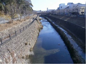 松尾橋から見た逆川の様子（掛川市内）