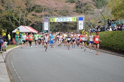 2014年掛川新茶マラソンにて、一斉に走り出すマラソンランナー達