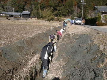 溝さらいの写真で、長靴を履いた男性たちが手にスコップを持ち溝の土砂をすくっている