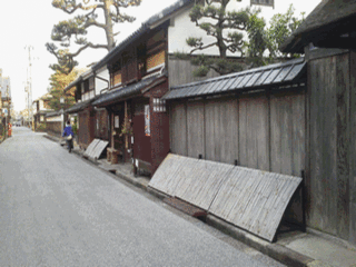滋賀県近江八幡市の塀越しに見える松と犬を追い払うための犬やらい