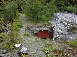 橋の上に細い木が生えている様子。