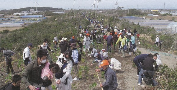 沖之須海岸に防災林の植樹をするようす