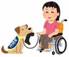 介助犬と車椅子の乗った女性のイラスト
