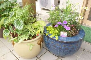 石臼と漬物用のかめに植物を植えている様子。
