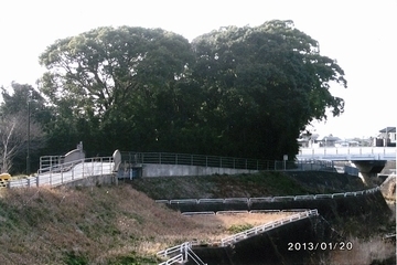 新知出合橋を手前から見た写真
