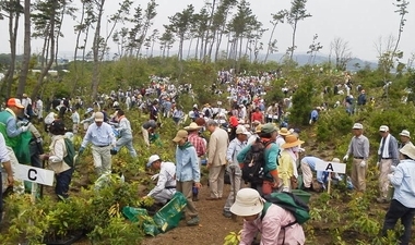たくさんの人が植樹している植樹祭の様子
