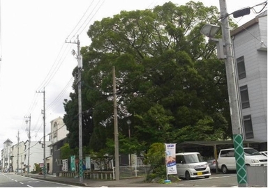 くすのき公園全景