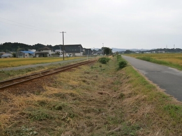 草刈り後の線路の写真。線路脇の雑草が綺麗に刈り取られて、線路が良く見える。