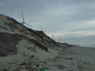 奥に伸びた砂浜。風力発電の姿が見える