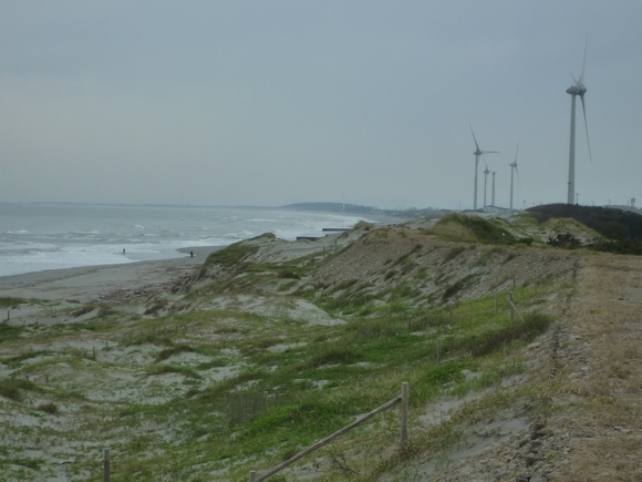 風車が並ぶ海岸の様子