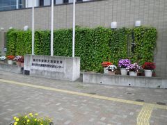 大須賀支所前に植えられた緑のカーテンと鉢植えの白・赤・紫の花が咲くサンパチェンス