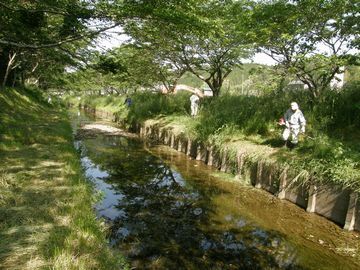 河川の草を草刈り機などで刈る人ら