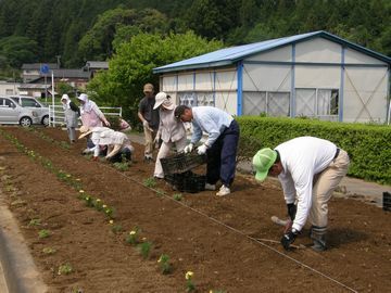 公共花壇の植え替え作業をする上垂木区の人ら