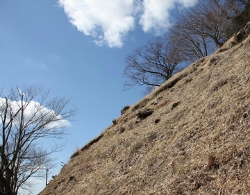 世界農業遺産となった茶草場のシンボル粟ヶ岳。茶草がきれいに刈られ一面枯れ草色になっている