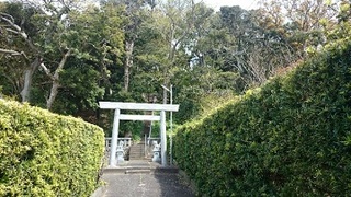 雑木の茂った砂山の頂上にある高室神社の正面の写真