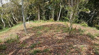 砂山頂上部、神社東側の生い茂る草木を手入れした後の写真