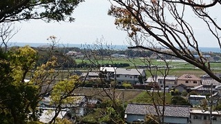 頂上部から南側を見ると桜の木々と家屋が覗いて見れる写真