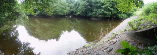 水を湛える菖蒲ヶ谷池の様子