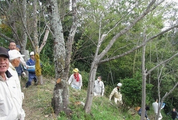 男性らが山の斜面で作業をしている写真