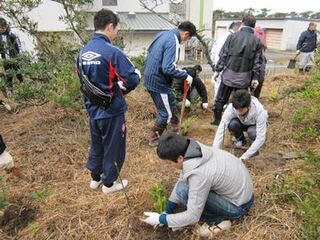 皆で手分けをして、次々と苗木を受けていくようす
