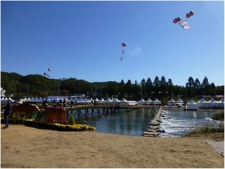 韓牛祭の画像