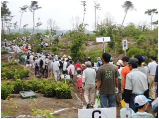 決められた植樹場所に移動する参加者たち