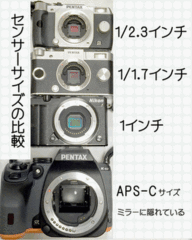 センサーサイズの比較した写真