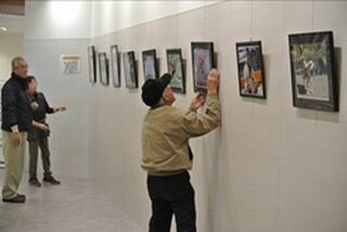 ボランティアの男性が絵を壁に展示している様子。