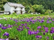 加茂荘花鳥園