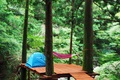 木立の中にブルーのテントとハンモック